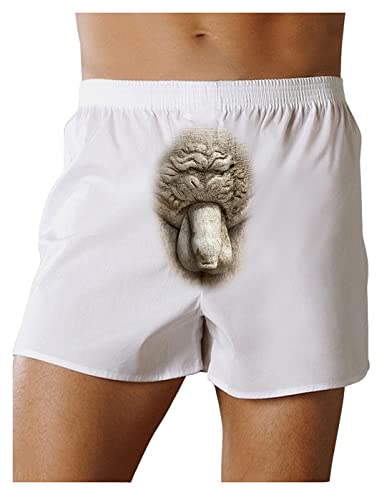 Michelangelo Sculpture of David's Mens Underwear Boxer Short2