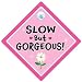 Lento Pero bonito coche señal, señal de coche, pegatina de parachoques, señal de bebé a bordo, conducción, automóvil, vehículo señal de signo, broma coche signpink, Lento Pero Gorgeous, bebé a bordo, bebé a bordo de signo Estilo, Estilo Pegatina de Parachoques, broma coche señal, señal de coche LADY