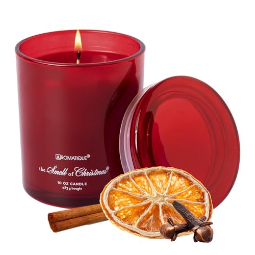 Holiday Spice Glass Candle