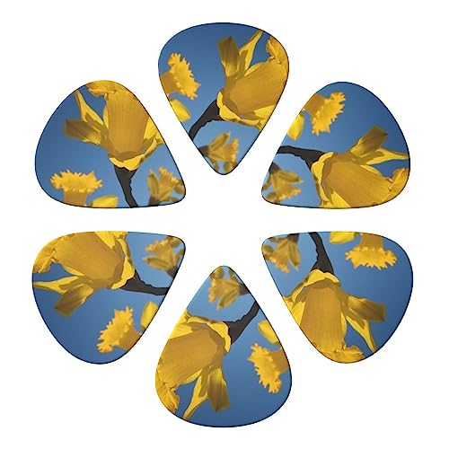 M^[sbN CG[vg M^[sbNz_[ AR[XeBbNM^[ oCI ENx[X 6pbN