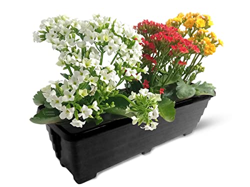 Vaso floreira vertical horta 11 litros 50cm plástico 4und
