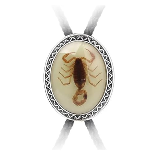 Bolo cravate cowboy homme en corde cuir noir avec pendentif turquoise forme ovale