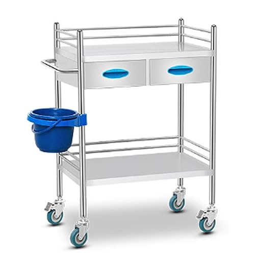 Medical Laboratory Cart, Stainless Steel 2/3-Tier Trolley Serving Utility Carts With Two Drawers For Lab Spa Beauty Salon Clinic Kitchen Equipment Use (Color : 2 layer, Size : 60 * 40 * 86cm)