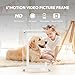 5 Inch Acrylic Video Picture Frame with 4GB Memory, Digital Motion Video Loop Player with Sound, Rechargeable Desktop Display for Home Decor,Desk Setup,Pet Memorial, No WiFi Needed