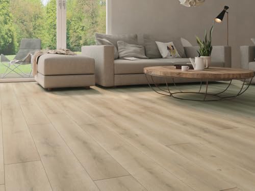 BASICfloor Grey Brown 8mm Laminatboden Landhausdiele Bellemont Oak, Lifestyle Trend, Nutzungsklasse 23 32, Klick, Feuchtraumgeeignet, Fussbodenheizung | 1 Stk. ca. 2,22 m², 128.5 x 19.2 x 8 cm