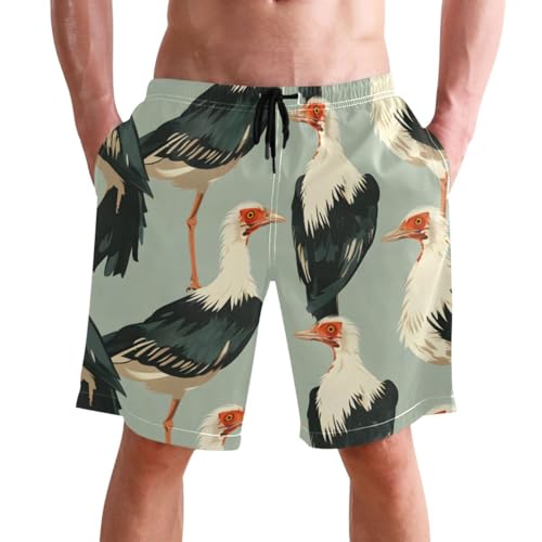 Men's Swim Trunks Quick Dry Swimming Shorts with Pocket Secretary Birds Pattern Swimsuit Trunks