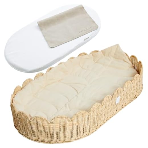 BEBE BASK Premium Changing Basket