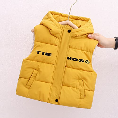 Down Jackets for Boys and Girls Winter Cute Bear Ears Hooded Full Zip Puffer Vest for Kids Warm4