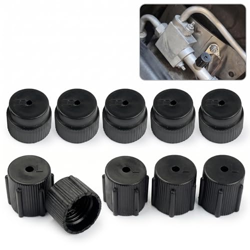 EJOWMOW 10 pcs AC Charge Port Caps for R134a Air Conditioner