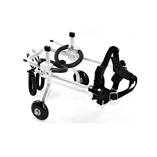 GHMHJH Ciclomotor de Mascota - Silla de Ruedas de Perro, Andador de Perro Viejo, Coche de Ejercicio de Pierna Trasera asistida (Tamaño : Silver XXXS)