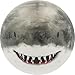 Produktbild Sunflex® Diving Ball Hai | Ball kann mit Wasser gefüllt Werden oder mit Luft | Wasserball | Land- & Tauchball | Durchmesser 23 cm | Beachball für Kinder ab 3 Jahren