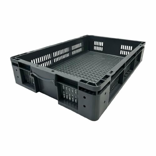 Vogue Perforated Plastic Storage Crate 600x400x120mm - Easy to Transport, Food Safe - Ideal for Stores, Restaurants, Catering DX999