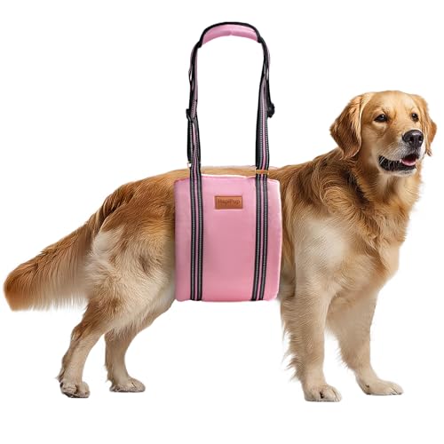 HapiPup Dog Lift Harness for Large Dogs