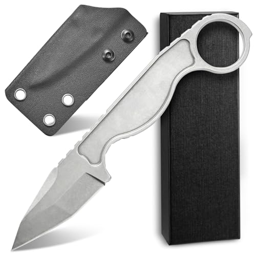 Ccanku C1101 D2 Steel Fixed Blade Knife, Stainless Steel Handle Claw Knife with Kydex Sheath for Outdoor Hunting, Survival and EDC Tool (Silver)