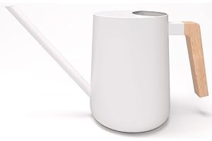 Rainmaker Watering Can: An Oasis for Your Indoor Plants