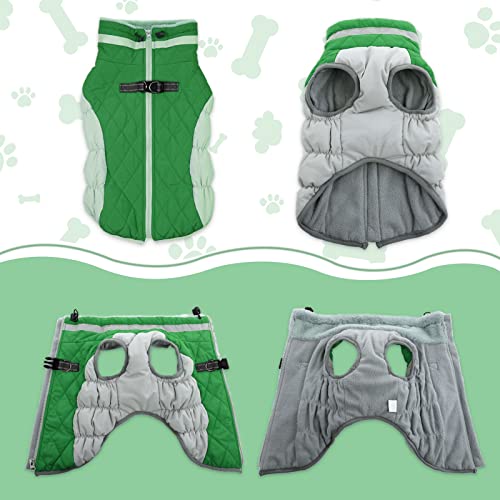 Image of LeLePet Warm Dog Winter Coat, Waterproof, Fleece, Green, X-Small, Turtle Neck, Adjustable, Windproof, for All Breed Sizes