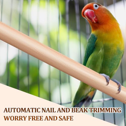 Image of Sintuff 8 Pcs Bird Perches for Cage Accessories, Wooden Perch Rods Replacement with Double Head Slots, 0.6 Inch Diameter Natural Wood Stand for Parrot Macaw Cockatoo Parakeet (18 Inches,24 Inches)