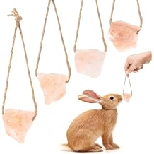 Natural Himalayan Lick Salt Block on Rope for Small Animal Mineral Salt Chew Toys with Rope Chew Treat Supplies for Guinea Pig Rabbits Bunny Ferrets 2PC