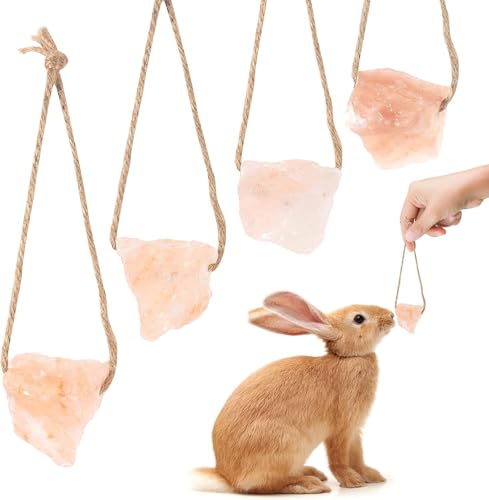 HAICHEN TEC Natural Himalayan Lick Salt Block on Rope for Small Animal Mineral Salt Chew Toys with Rope Chew Treat Supplies for Guinea Pig Rabbits Bunny Ferrets (4PC)
