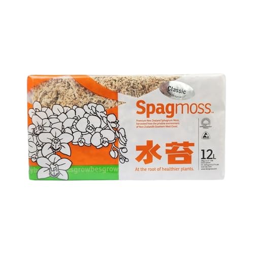 besgrow Premium New Zealand Sphagnum Moss 150g (12L When Hydrated) Classic AA Grade (100mm 4 Strands) - Harvested in New Zealands South Island Dried and Long for Potted Plants Orchids Reptiles