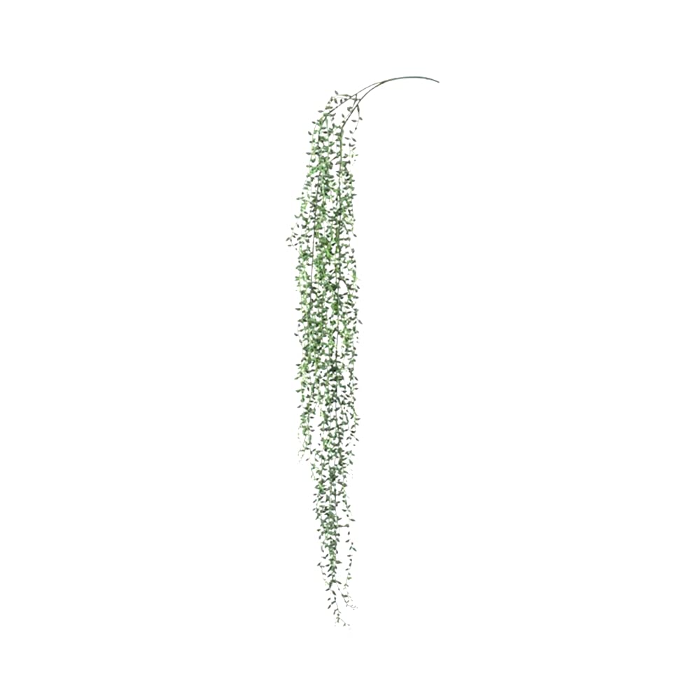 FloristryWarehouse Trailing Senecio String of Pearls Artificial Succulent 95cm/37.5 Inches