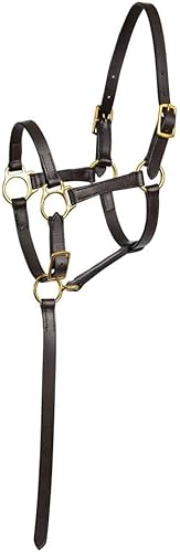 Miniatura 2 de Schneiders Premier 2 en 1 - Cabestro de potro para caballos  Ajuste universal para potros  Dos longitudes de corona  Correa de agarre rápida de