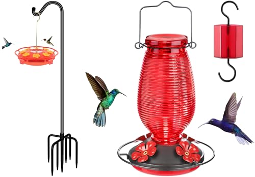 FEED GARDEN Glass Hummingbird Feeder + Shepherds Hooks 76” 1