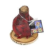 1 XL Amaryllis Rot Wachs gewachst Rustikal auf Baumscheibe/Wax - behandelte Blumenzwiebel - lange haltbar, pflegeleichte Zimmerpflanze-Geschenkidee Ritterstern Touch of Wax