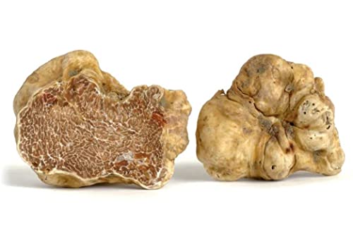 1.1 Lb. Freeze-Drying Wild White Truffle, Size 3-5 Cm. Tartufo Bianco / Tuber Magnatum Pico, #TOP22