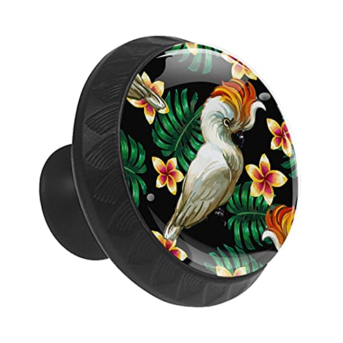 Boutons de tiroir perroquet ronds 35 mm pour réparer une commode - 3
