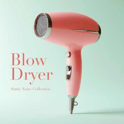 Hood Hair Dryers