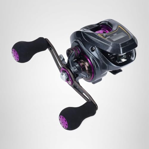 ダイワ(DAIWA) ＬＩＧＨＴ ＳＷ Ｘ ＩＣ 7枚目