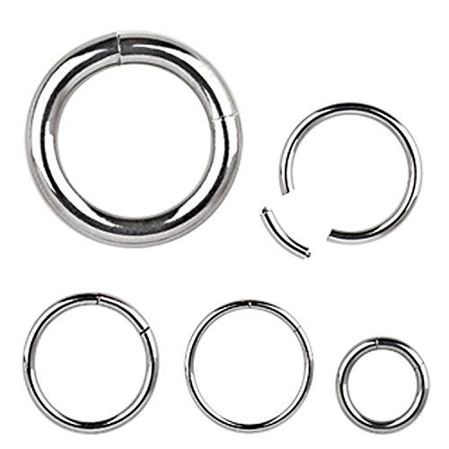 Inspiration Dezigns Seamless Segment Ring 316L Surgical Steel - Available in a Variety of Sizes (Sold Individually)