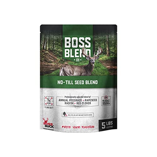 Top 10 Blender For The Buck of 2022 Katynel