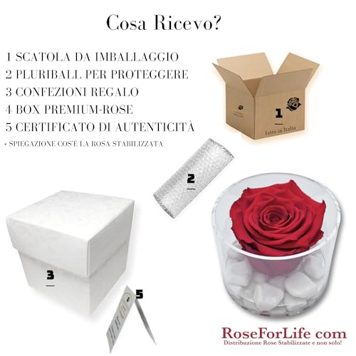 Premium-rose.com Runde Box mit stabilisierter roter Rose und Carrara-Marmor, Geschenkidee für Freundin, Ehefrau, Mutter, Weihnachten, Valentinstag, Symbol der ewigen Liebe, (Rot 1090)