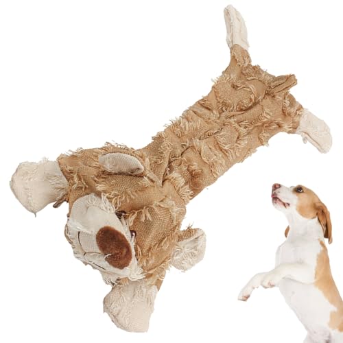 Giocattoli per cani di peluche, peluche a forma di orsetto che squittisce, giocattoli da masticare per tutte le razze, taglia piccola, media, grande, casa, giardino, cortile, camera da letto, gabbia