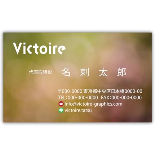 ���h�쐬 ���h��� �i�� 100�� �Ж� �t���J���[ �P�[�X�t No.2293