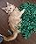 CATMAT Tissue Paper Grass Mat Toy for Cats and Kittens crinkly interactive hunting hiding fun green (Pack of 2) good for indoor cats. arrives packed flat