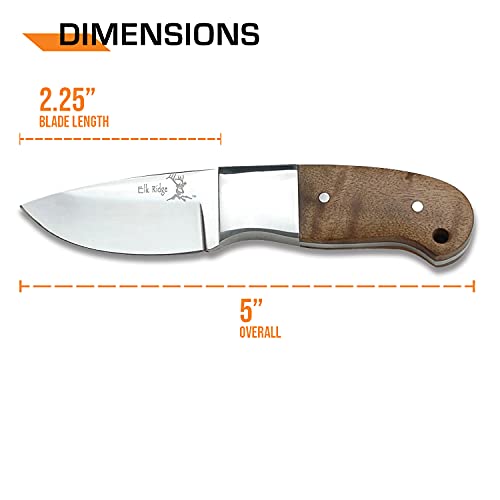 Elk Ridge - Outdoors Fixed Blade Knife - 5-in Overall, 440 Stainless Steel Mirror Polished Blade, Burl Wood Handle, Leather Sheath - Hunting, Camping, Survival - ER-111 - Thumbnail 4