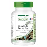 Fairvital | Extrait de forskoline - 90 gélules - à base d'extrait de Coleus Forskohlii - qualité contrôlée et haute dose - 100% végétalien - Made in Germany