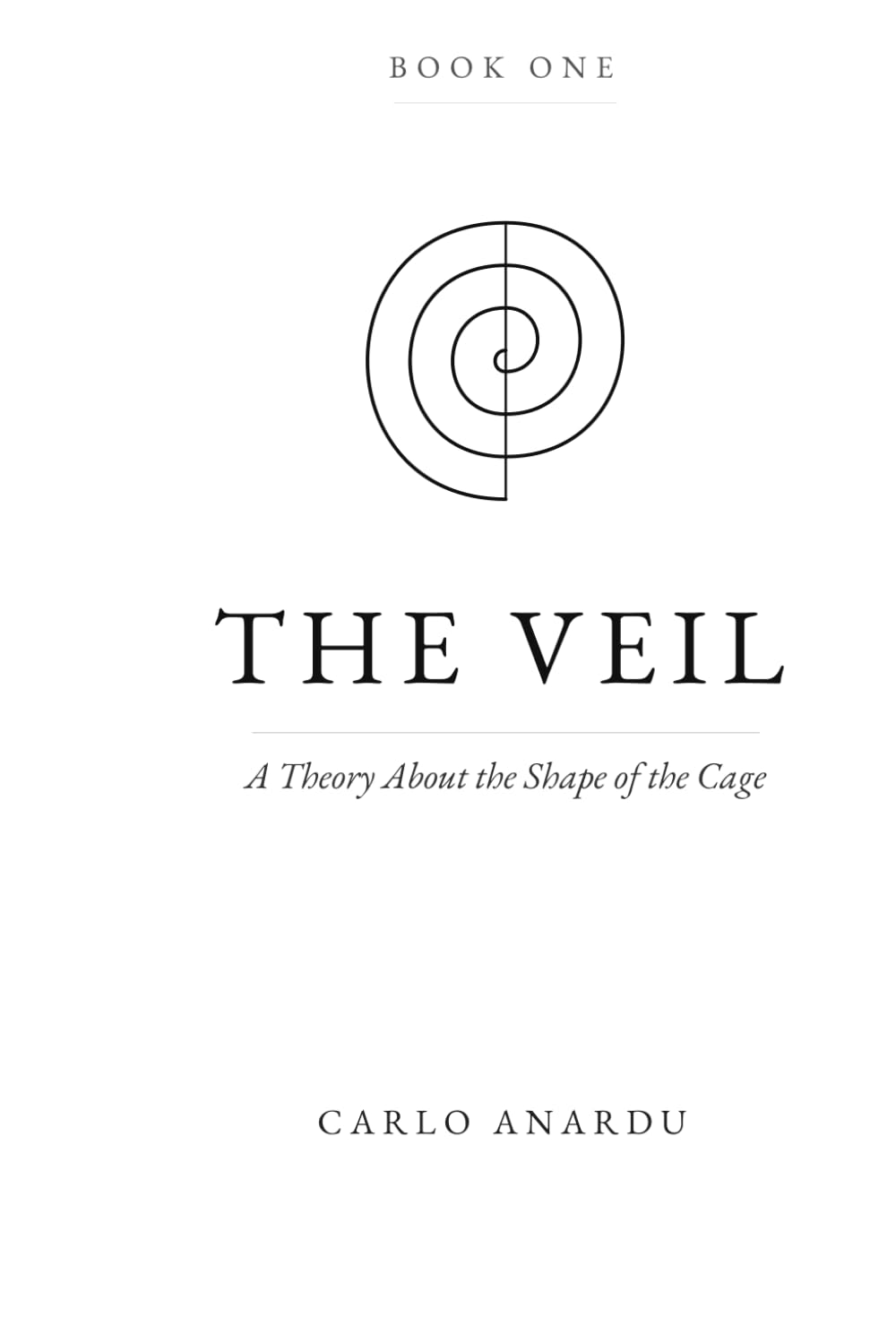 The Veil: A Speculative Theory of Reality, UFOs, and the Boundary of the Mind.