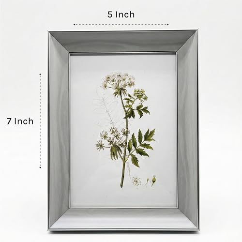 Image of Premium White Silver 5x7 Inch Small Photo Frame | Table Top Display with Clear Plexiglass | Photo Frames for Table, Perfect for Home Decor, Wedding, Anniversary, Memories & Gifts