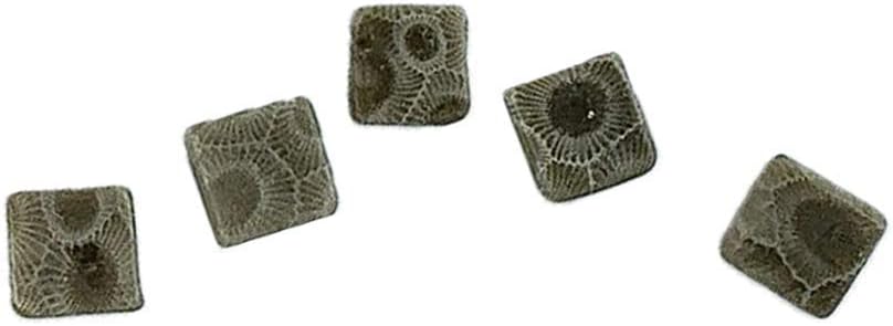 Petoskey Stone Beads - 5 Square Beads