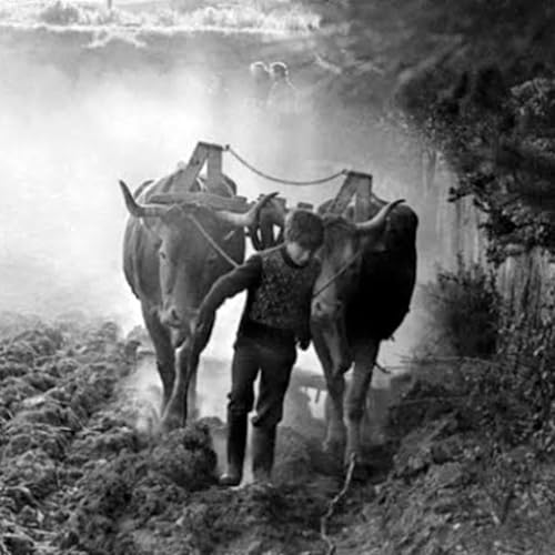 El Ni&ntilde;o Yuntero