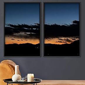 signwin 2 Piece Framed Canvas Wall Art Colorful...