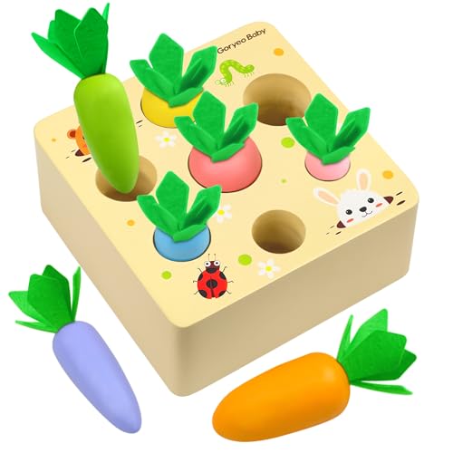 Holzspielzeug ab 1 Jahr, Montessori Spielzeug 2 3 Jahre, Sortierspiel Holzpuzzle Karottenernte für 12 Monate, Motorikspielzeug fördert Feinmotorik Baby ab 1, Lernspielzeug Geschenke für Kinder [Bunt]
