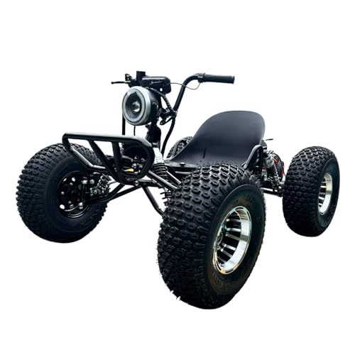 Zyliathor 48V 1500W Electric Off-Road Go Kart, 8" Aluminum Wheels,