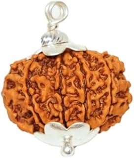 11 Mukhi Rudraksha Original Certified Nepali 22mm Pendant 11 Face Rudraksha Nepal Hanuman Rudraksha Gyarah Mukhi Rudraksha...