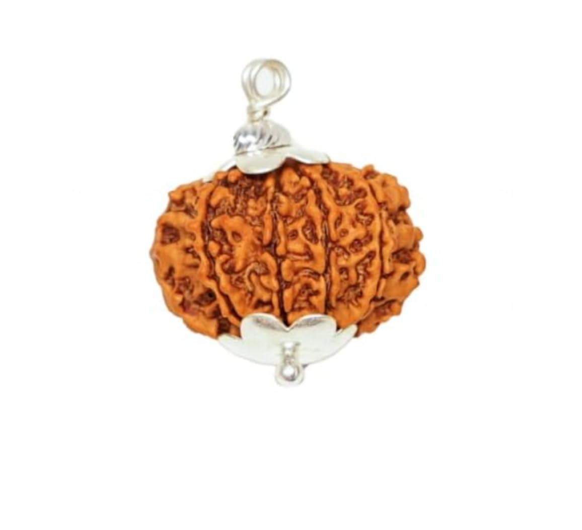 11 Mukhi Rudraksha Original Certified Nepali 22mm Pendant 11 Face Rudraksha Nepal Hanuman Rudraksha Gyarah Mukhi Rudraksha...