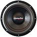 American Bass HD 12